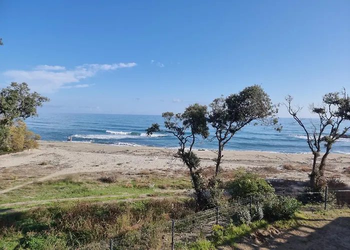 Bravone 74- Piscine En Residence-clim-wifi-pieds Dans L'eau 公寓 Linguizzetta